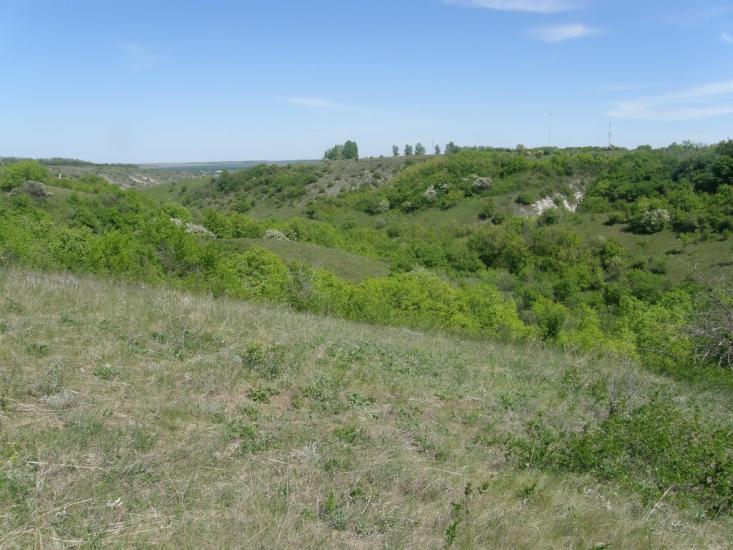Айдар-Миколаївка з panoramio.com - Айдар-Николаевка