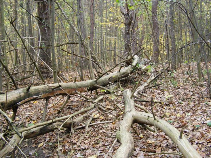 Люботин з panoramio.com (ч.2) - Люботин