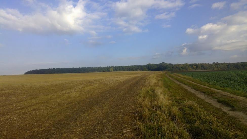 Лаврів з panoramio.com - Лавров
