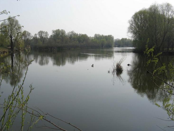 Соснівка з panoramio.com - Соснівка