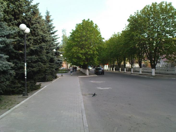 Лиман з panoramio.com - Lyman