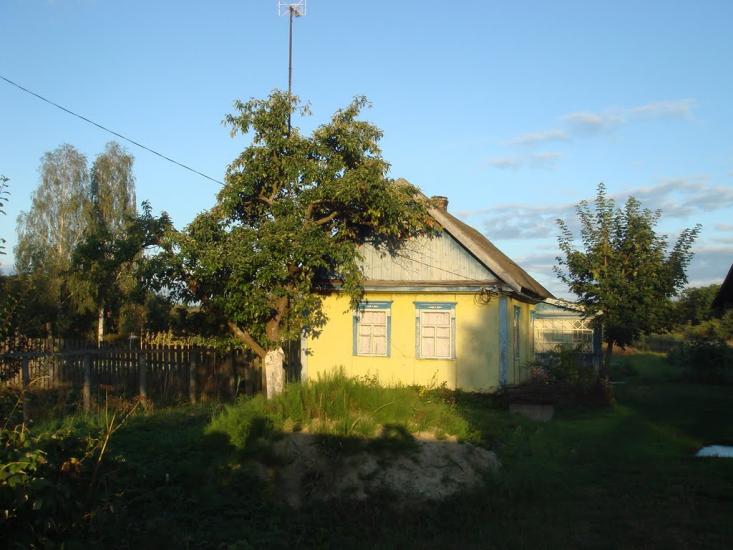 Кодра з panoramio.com - Кодра