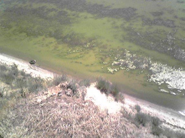 Лупареве з panoramio.com - Лупарево