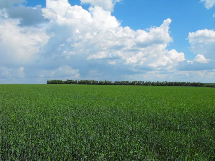 Семенівка з panoramio.com - Семенівка