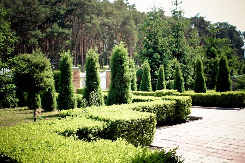 Олександрівка з panoramio.com - Александровка