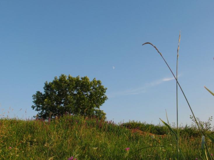 Плоско-Забузьке з panoramio.com - Плоско-Забузьке