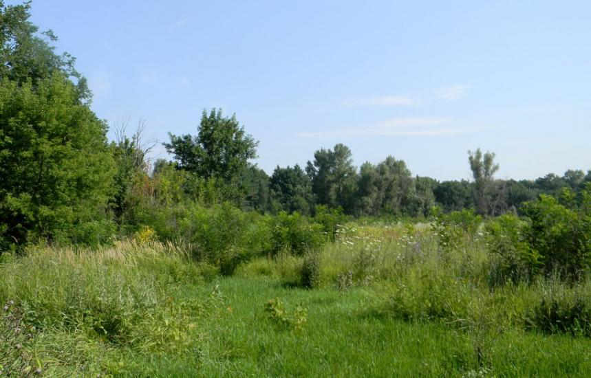 Марганець з panoramio.com - Марганец