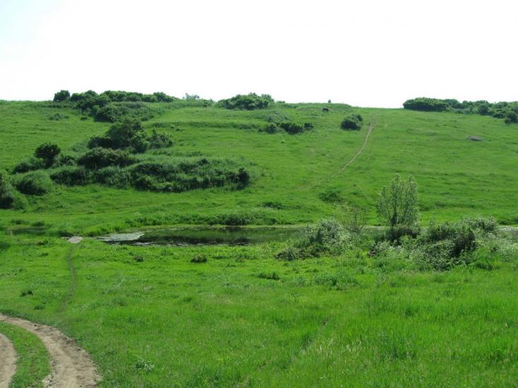 Нова Прага з panoramio.com - Нова Прага