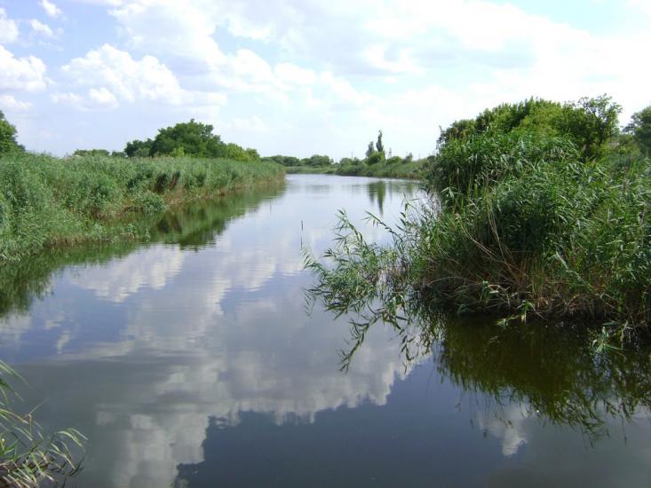 Комар з panoramio.com - Komar