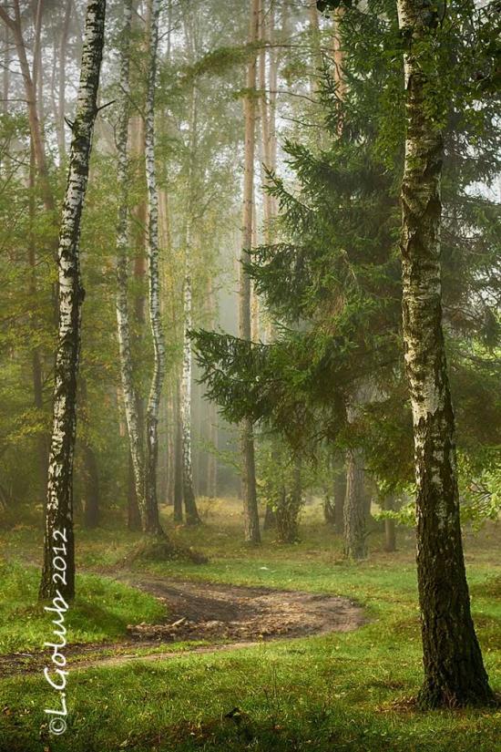 Смига з panoramio.com - Смига