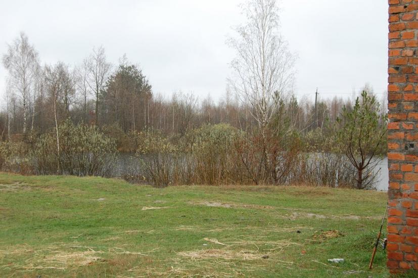 Комарове з panoramio.com - Комарово