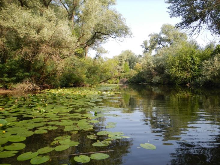 Кушугум з panoramio.com - Кушугум