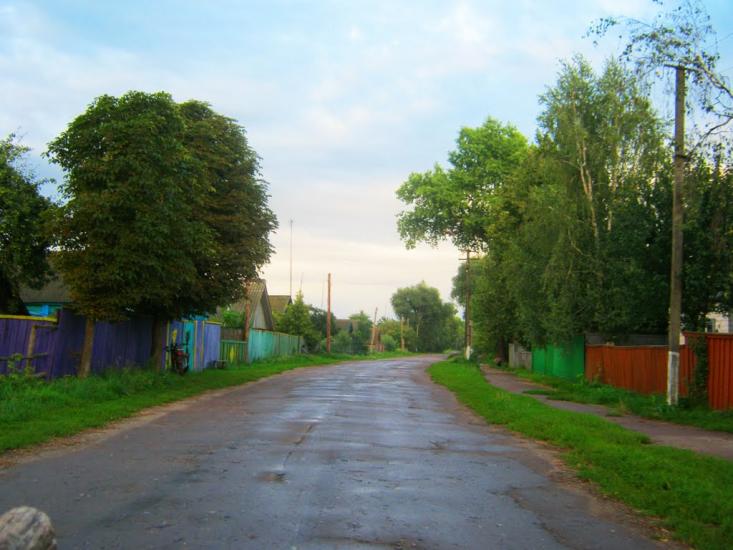 Деревини з panoramio.com - Derevyny