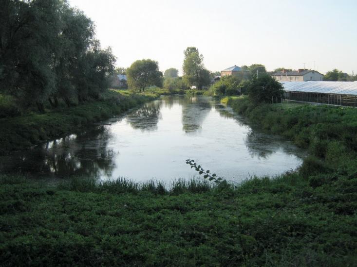 Жовтанці з panoramio.com - Жовтанці
