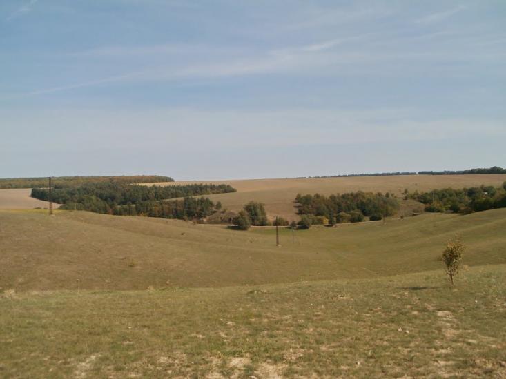 Шура-Мітлинецька з panoramio.com - Шура-Мітлинецька