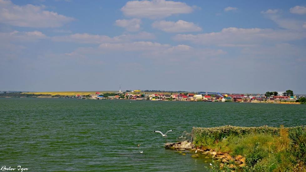 Алтестове з panoramio.com - Алтестово