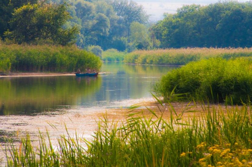 Сокільники з panoramio.com - Сокольники
