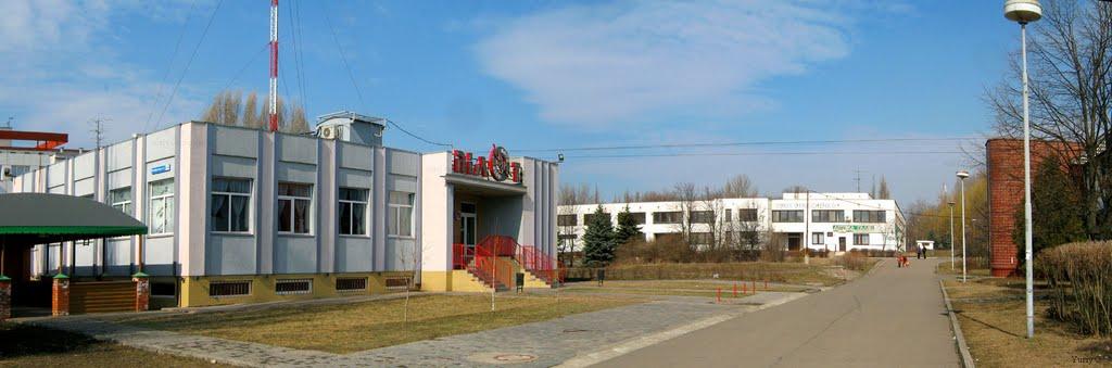 Зелений Гай з panoramio.com - Зеленый Гай