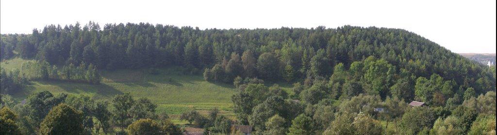 Вибудів з panoramio.com - Выбудов