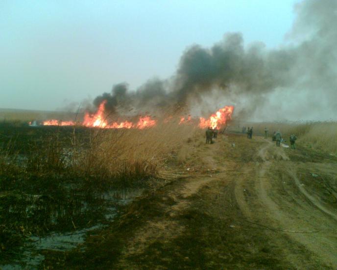 Фрунзе з panoramio.com - Фрунзе