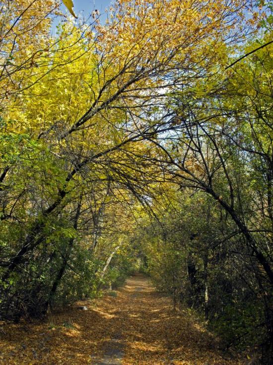 Львів з panoramio.com - Львів