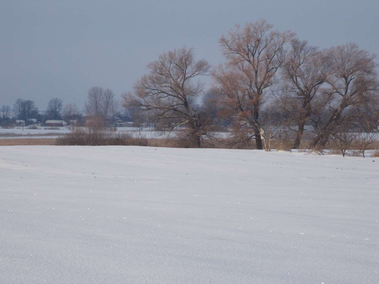 Щенятинський пейзаж - Щенятин