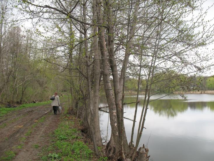 Велика Севастянівка з panoramio.com - Великая Севастьяновка