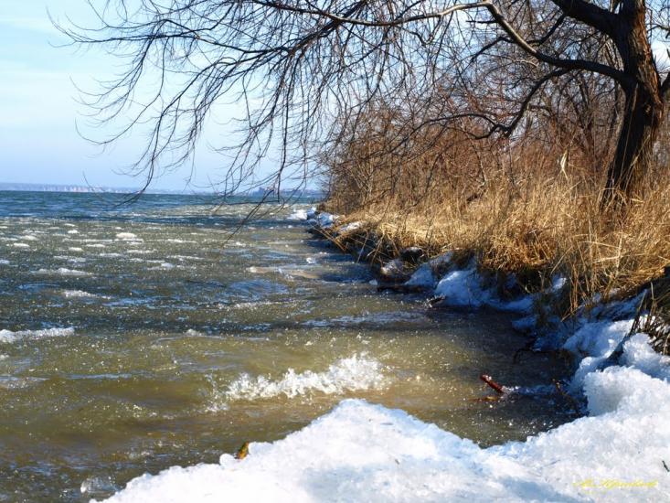 Сухолужжя з panoramio.com - Sukholuzhzhya