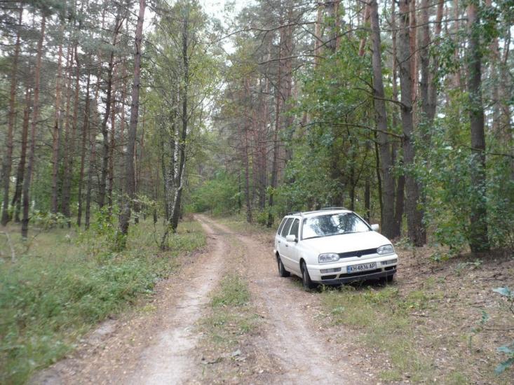 Мельники з panoramio.com - Мельники