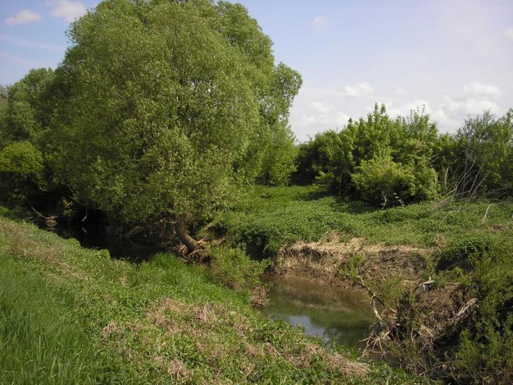 Сторожниця з panoramio.com - Сторожница