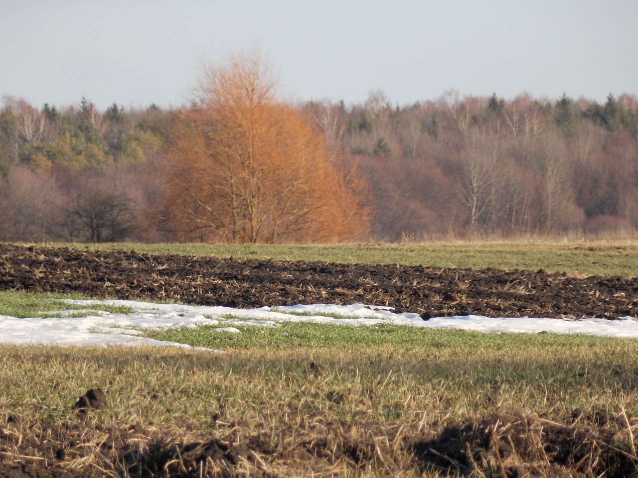 Щенятинський пейзаж - Щенятин