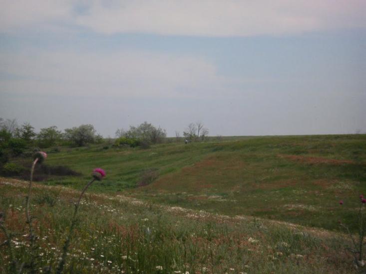 Лупареве з panoramio.com - Лупарево