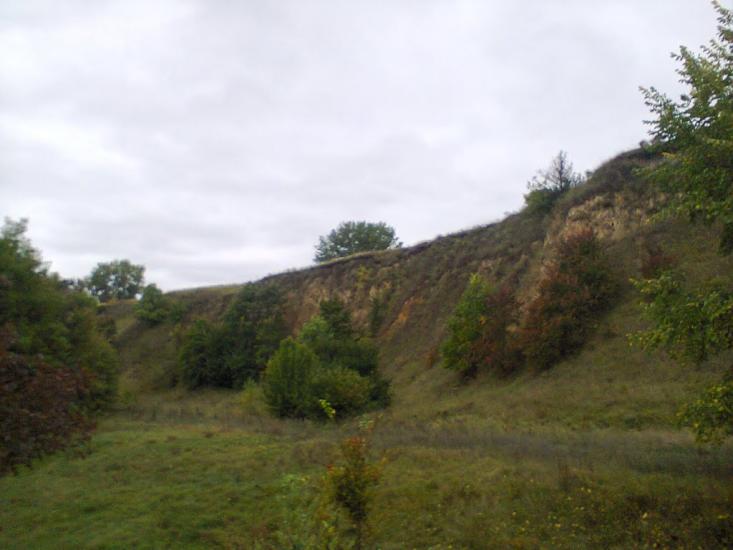 Мохнівка з panoramio.com - Mokhnivka