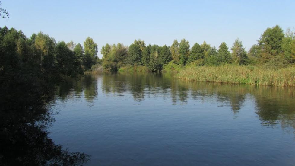 Прохорів з panoramio.com - Прохоров
