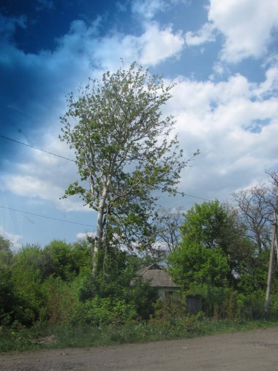 Яцьки з panoramio.com - Яцьки