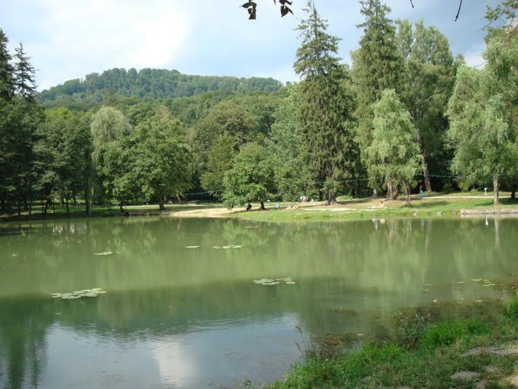 Карпати з panoramio.com - Карпаты