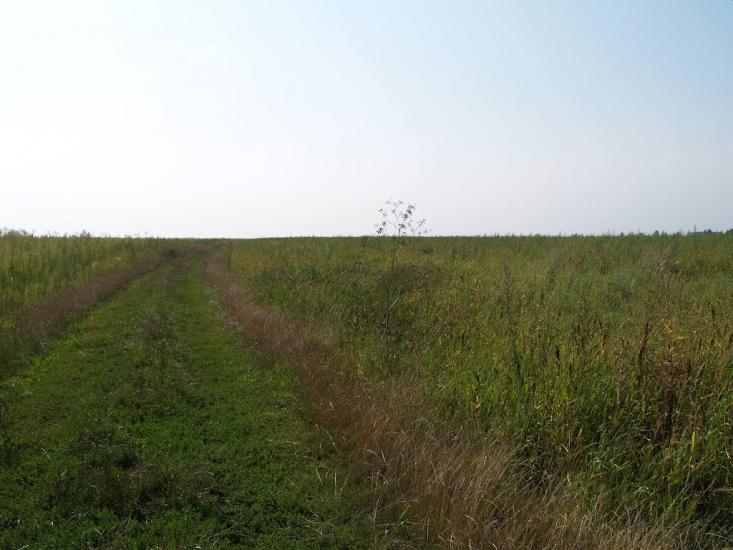 Кустівці з panoramio.com - Кустівці