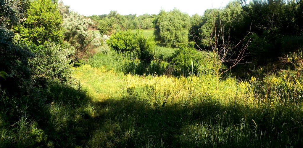 Марганець з panoramio.com - Марганец