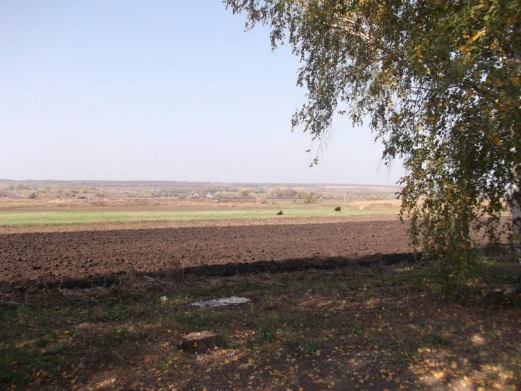 Новоборове з panoramio.com - Новоборове