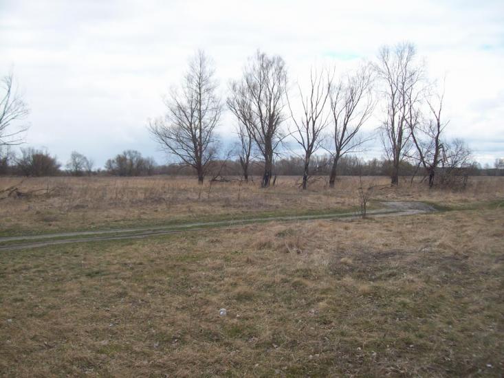 Літочки з panoramio.com - Леточки