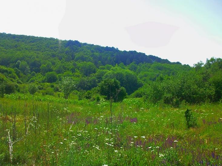 Багата Ущелина з panoramio.com - Bagata Uschelyna