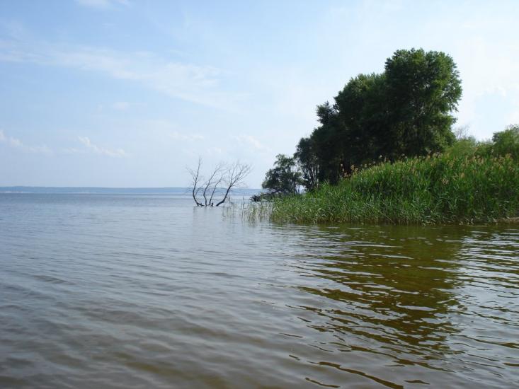 Нагірне з panoramio.com - Nagirne