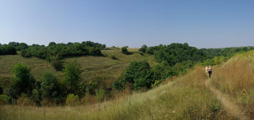 Садківці з panoramio.com - Садківці