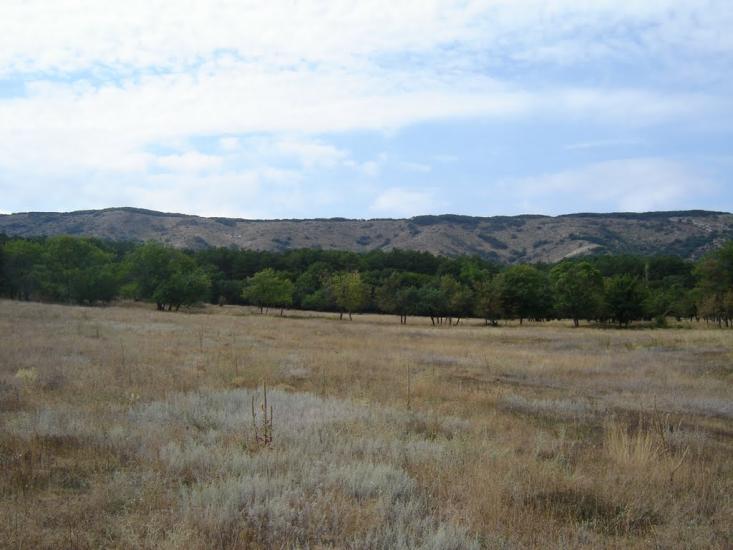 Старий Крим з panoramio.com - Старий Крим