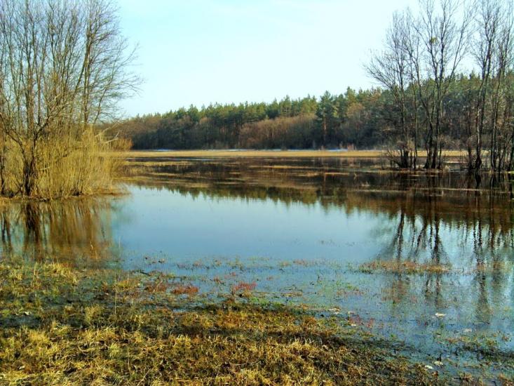 Булахівка з panoramio.com - Булахівка