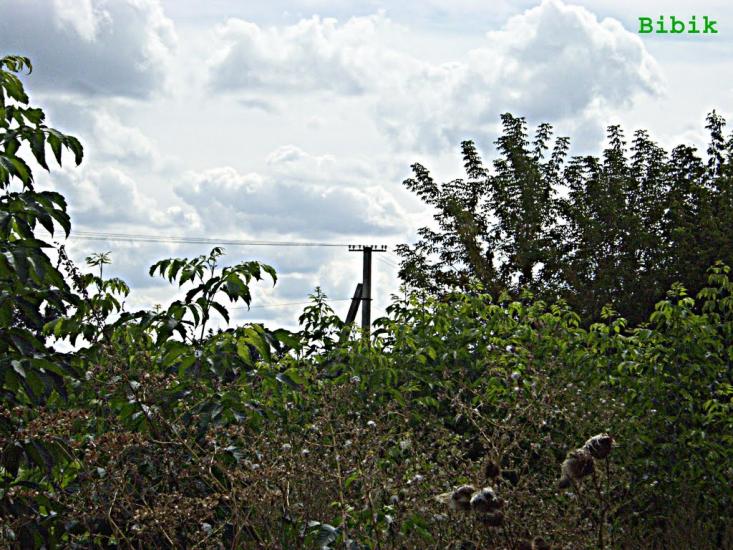 Овруч з panoramio.com - Овруч