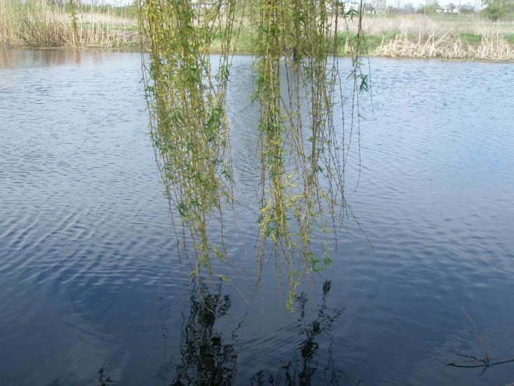 Біляки з panoramio.com - Беляки