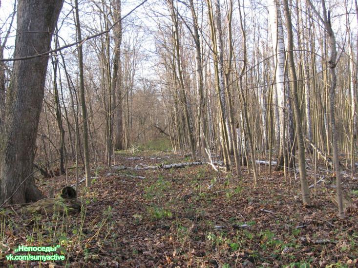 Барилівка з panoramio.com - Бариловка