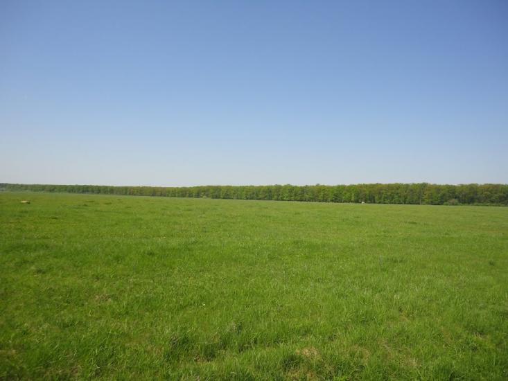 Чорний Потік з panoramio.com - Чорний Потік