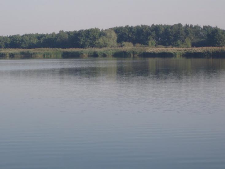 Чумаки з panoramio.com - Чумаки